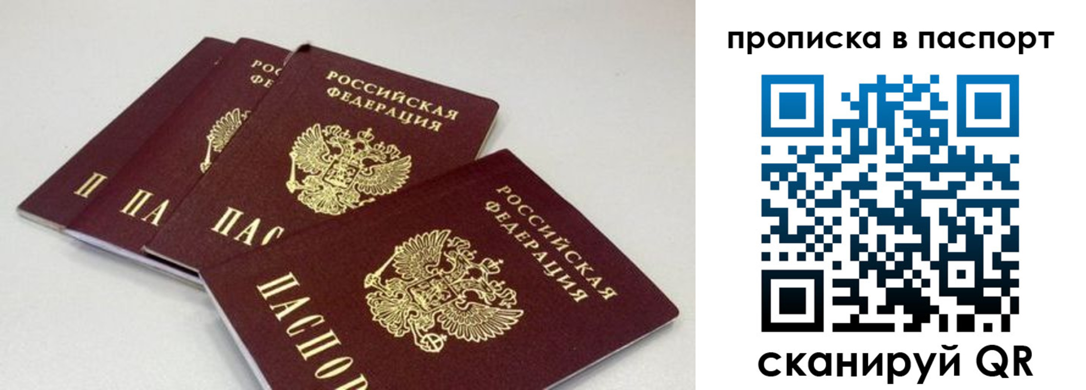 найти адрес прописки в Белгородской области